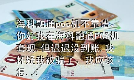 海科融通pos机不靠谱，你好我在海科融通POS机套现,但迟迟没到账,我怀疑我被骗了。我应该怎...