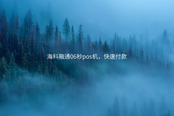 海科融通06秒pos机，快速付款