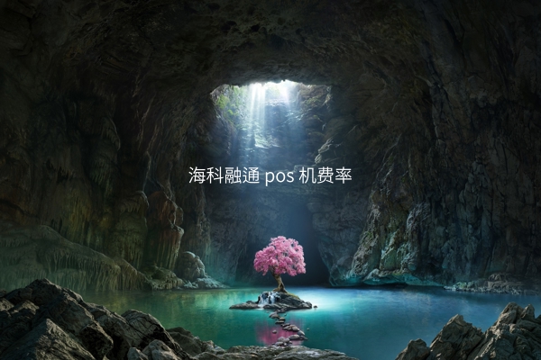 海科融通 pos 机费率